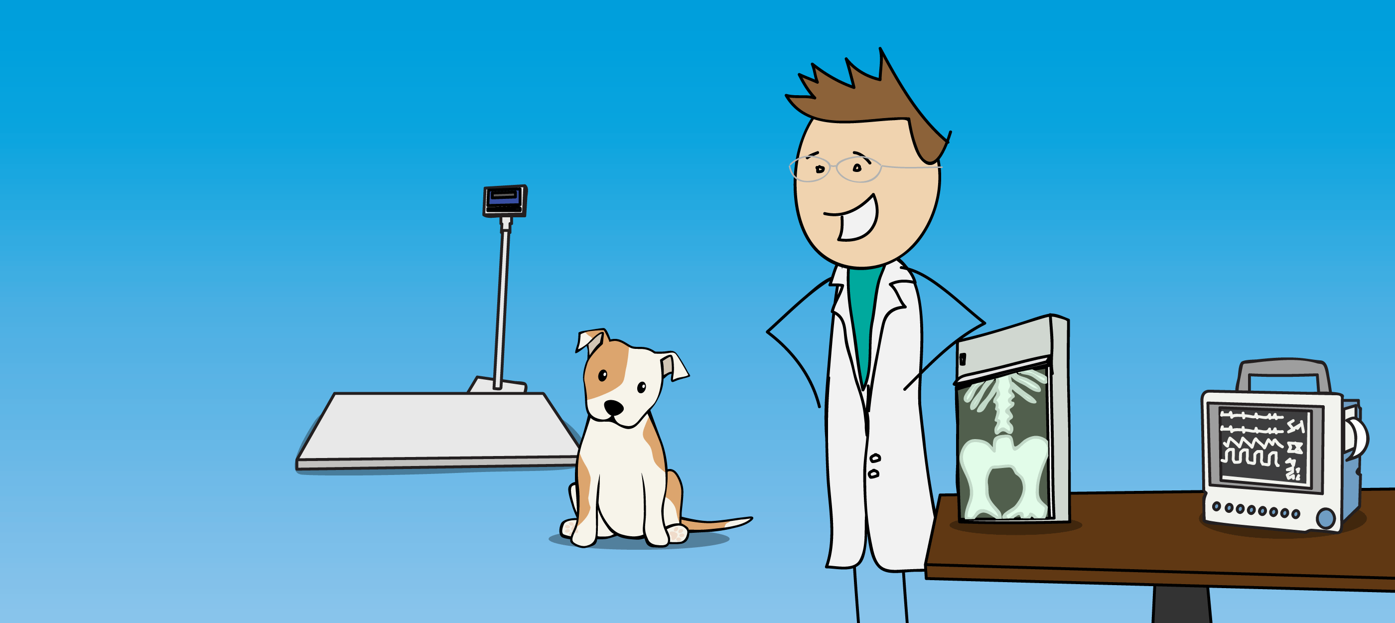 The 4 barriers to upgrading your veterinary equipment and how to them CWB National