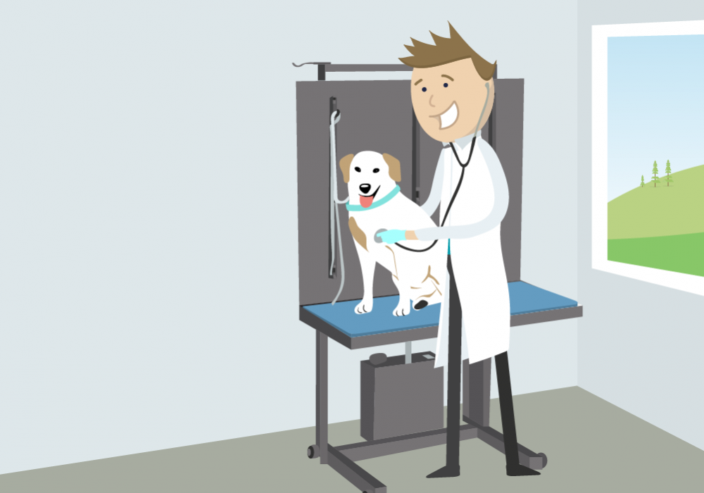 Why you should upgrade your veterinary equipment CWB National Leasing Canada’s Equipment