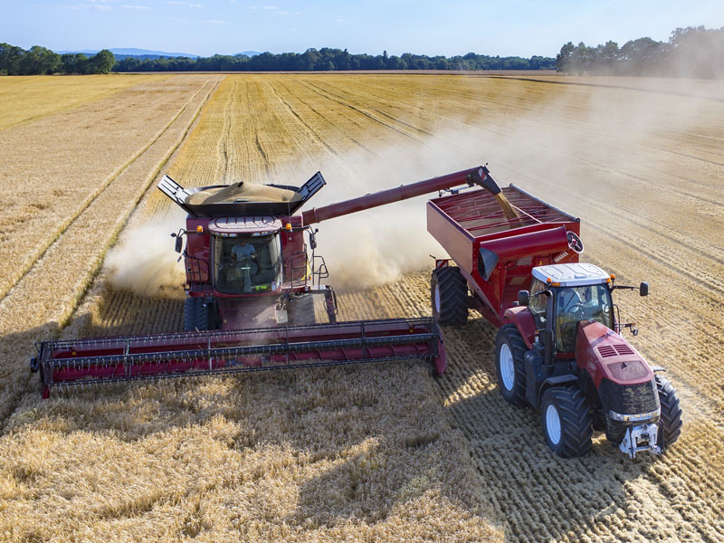 Moissonneuse-batteuse au travail dans le champ d'un agriculteur