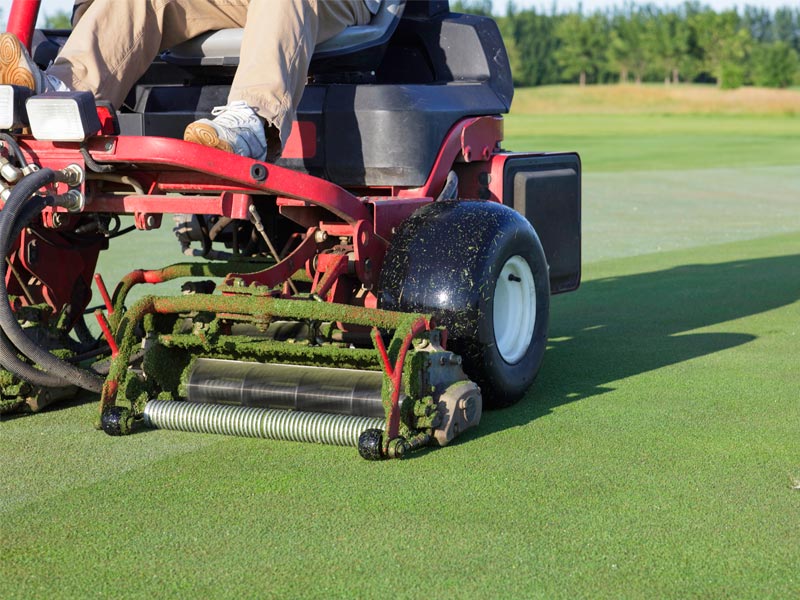 A riding lawn mower trimming the green at a golf course